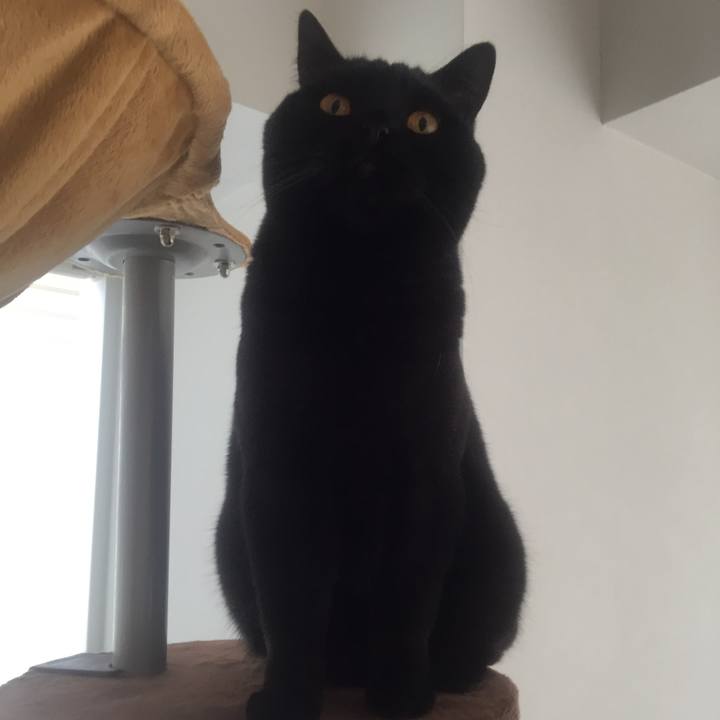 Bf697069 f7dd 4f02 a764 099626af1af4