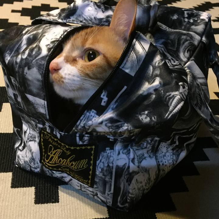 Bf69ce44 178a 4d51 a533 ee6b80c18d89