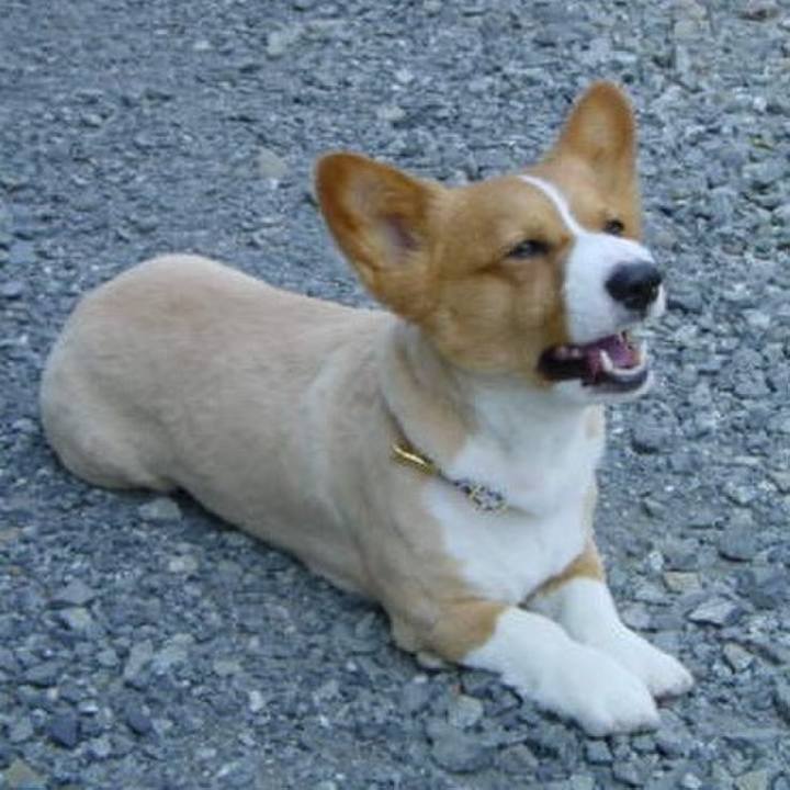 Bf6a01fe a9fe 4fde 8b7c 25d0e20298f5