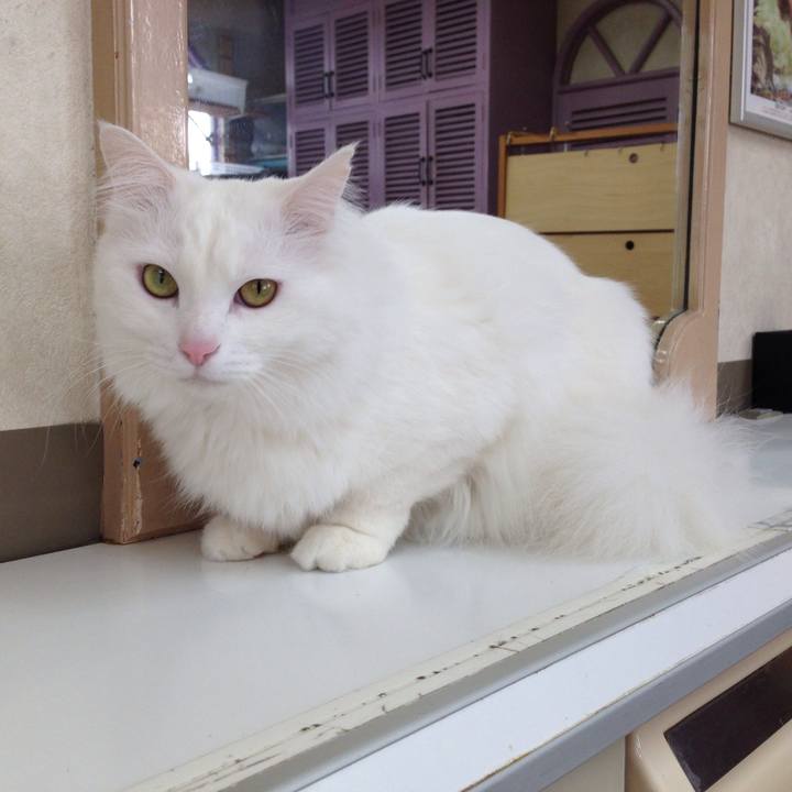 Bf6a0614 b546 4683 b023 8ce18aa3e908