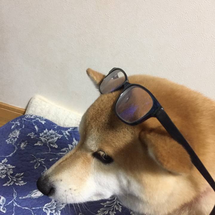 Bf6a5a85 3427 4349 a69a c531e7765f33