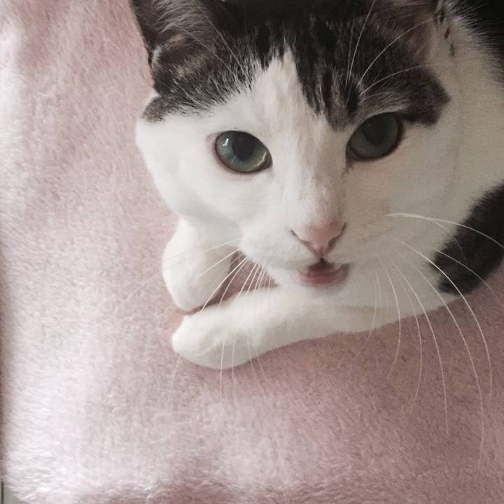 Bf6acac9 84ad 43c8 9625 8abf833bc1e7