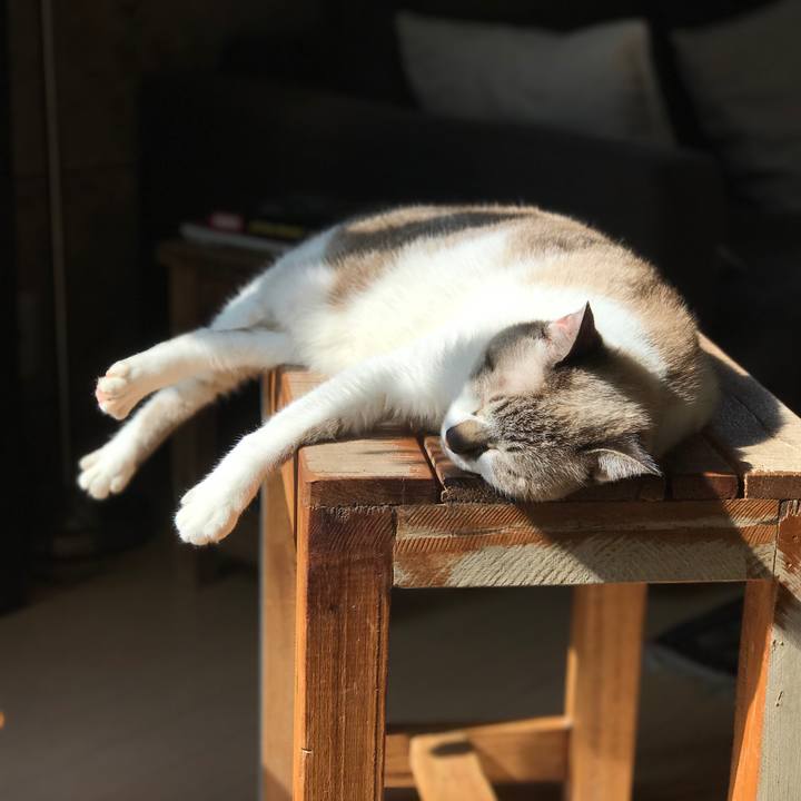 Bf6b36d7 f2f6 485c 98f6 6fa2f92badb4