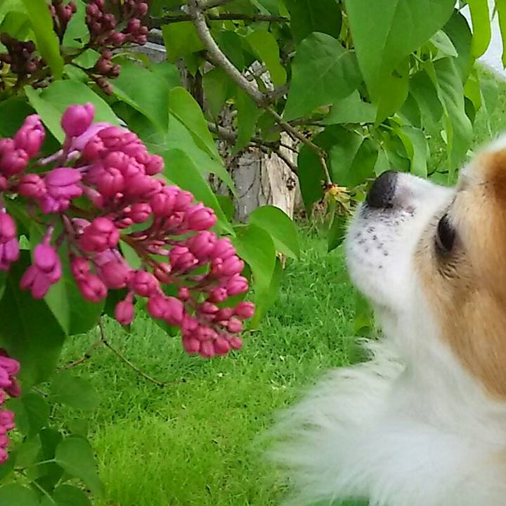 Bf6b7e2e 59bf 45bd a66b f3098c63ae88