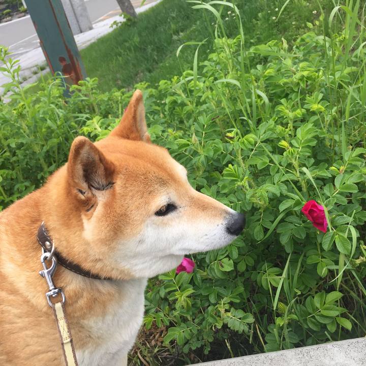 Bf6bb435 b8ba 431c 8fd5 77a3618dd0a0