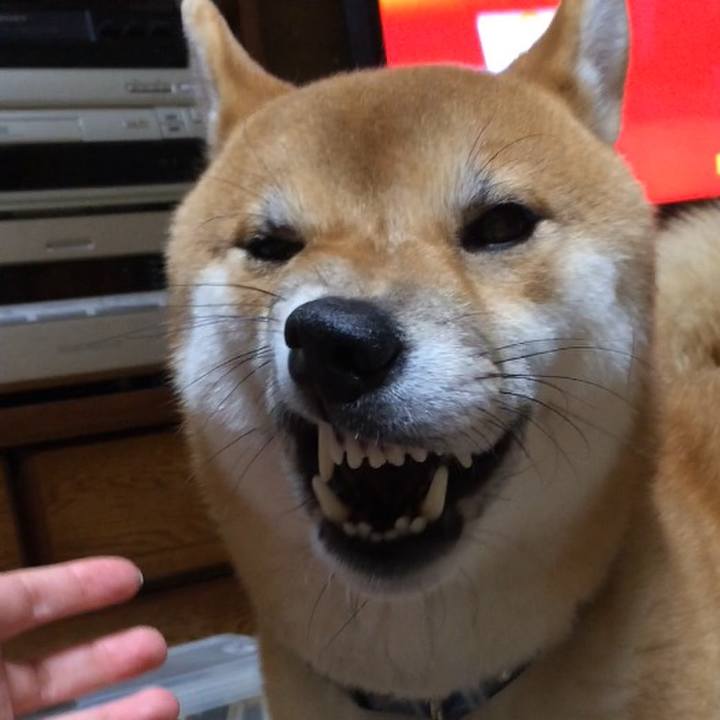 Bf6bcd8b d3fa 4832 aef3 43af4f472403