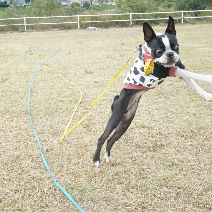 Bf6bcfe1 d4c9 486e a945 92aeb6df0850