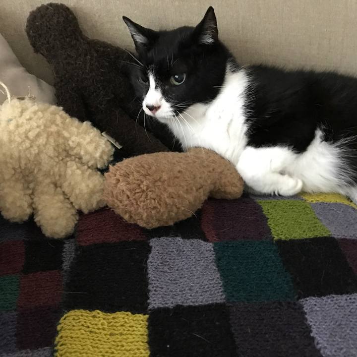 Bf6c675f 5d5e 4d26 af97 1a491aaa437f