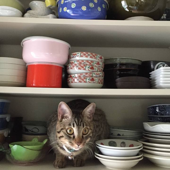 Bf6dbb53 9037 4a87 8c06 1c13588bf6c3