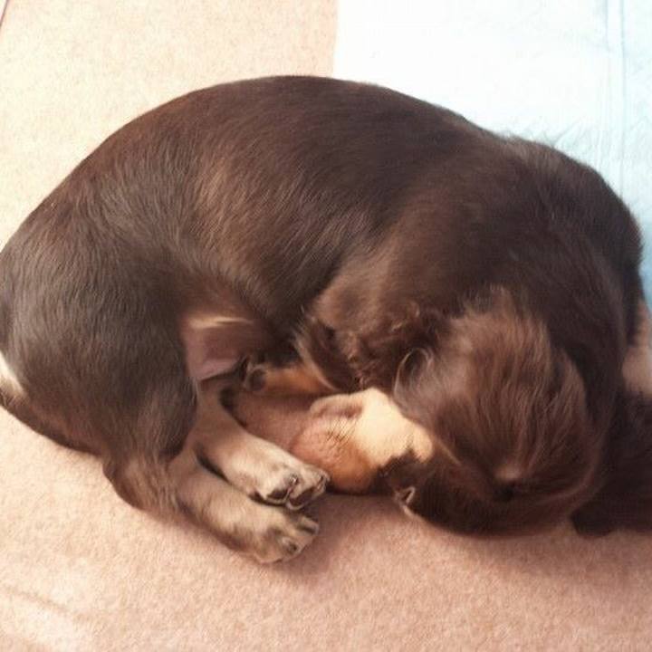 Bf6e2afd e102 42ca 9f99 3945275b8abc