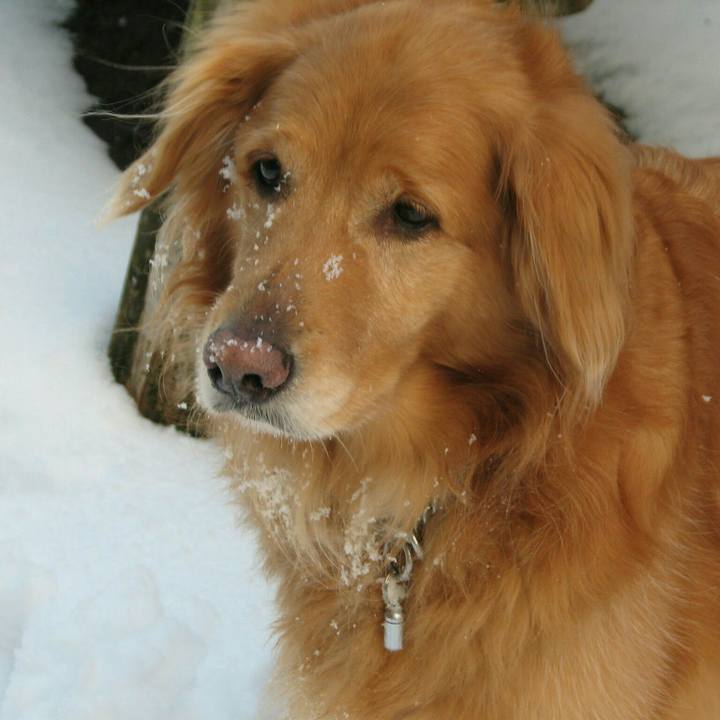 Bf6f0e41 f42d 4993 b1ba 4befa6d7d00d