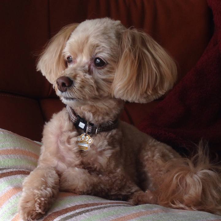 Bf6f3c66 eb52 41fd 9507 bb59d4763c08