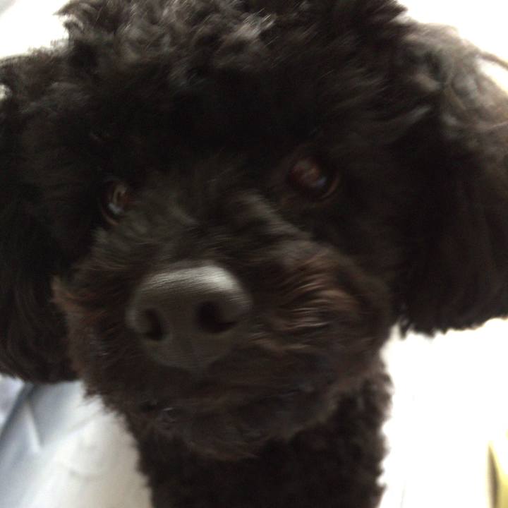 Bf6f8bea 46e1 4dd9 94f8 37768bd16907