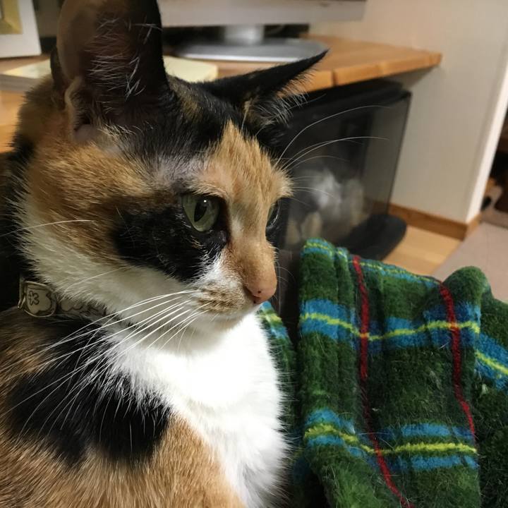 Bf6fbfd6 8f83 4745 b25b 0ca93d62b033