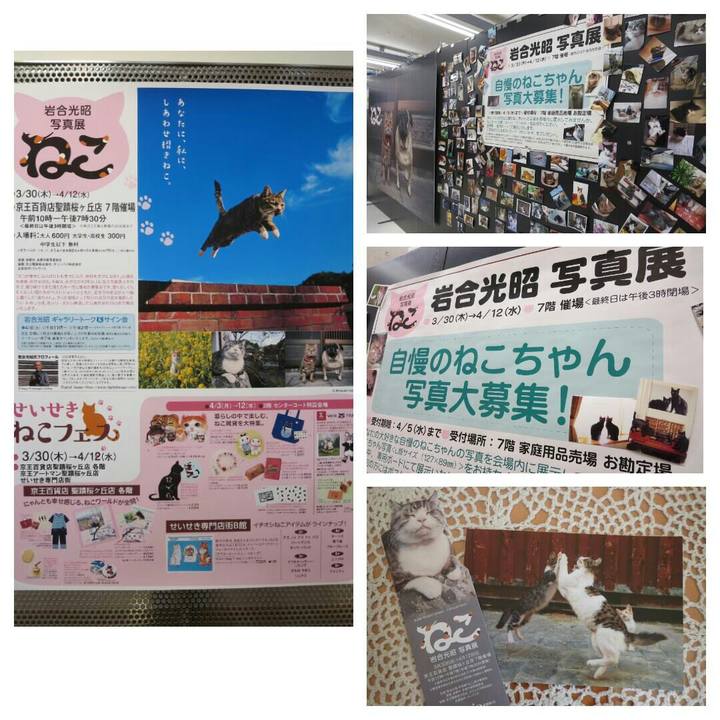Bf704348 1eee 4726 8aa1 9017d9b4f81b
