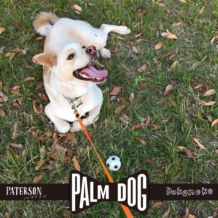 Bf706bdc 658b 4f92 8d56 b6ab5e688193