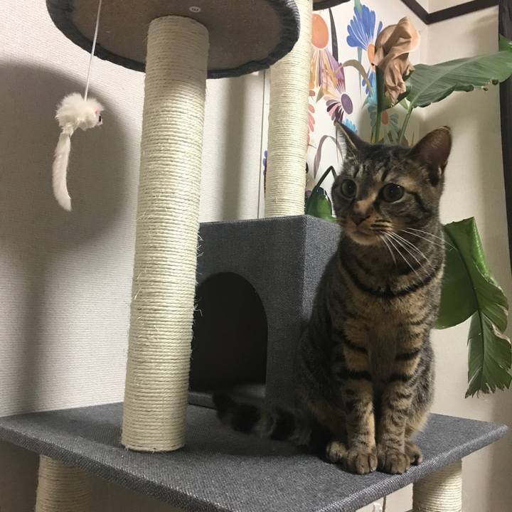 Bf70a583 460e 4775 9144 c8ec031e8f52