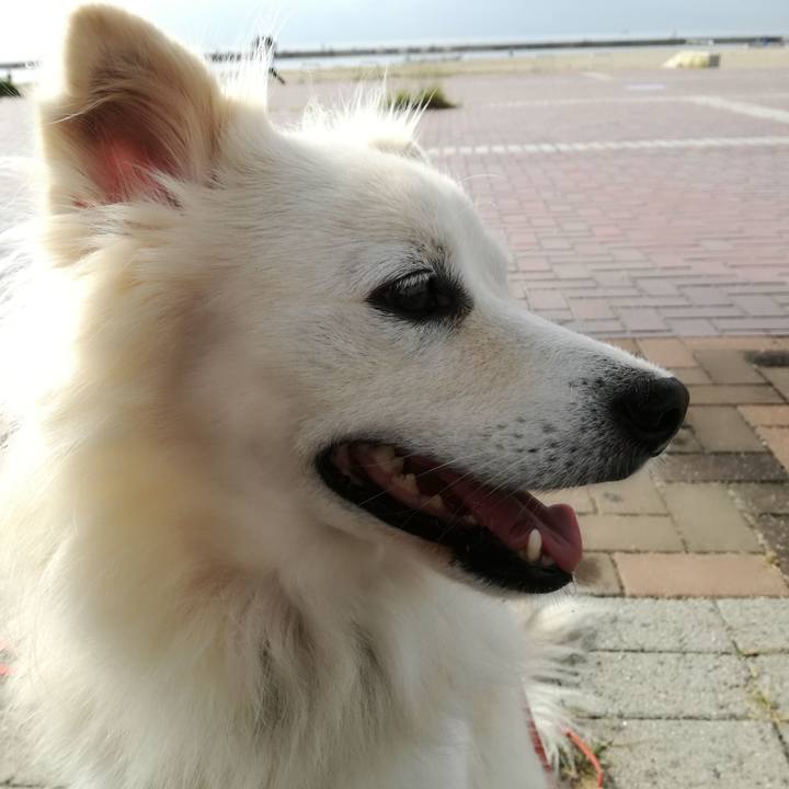 Bf70a7f9 b12b 495e 883c f9e0fc41f7fe