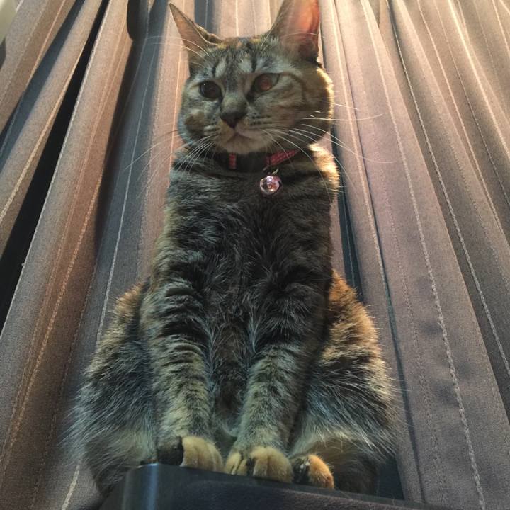 Bf70ab1e cabb 4cab 8c90 ebe9b18807ba