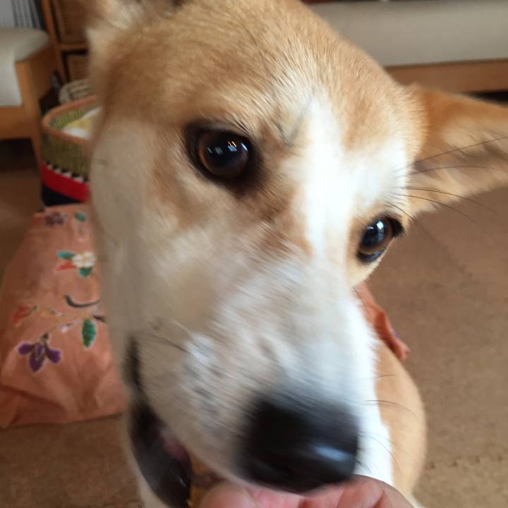 Bf722be2 536a 47a7 9d48 000ce3f2fc32