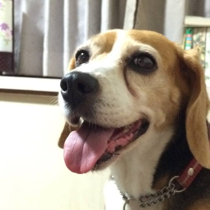 Bf73123c 9cdc 47d1 bc7b b6be0a9f5843