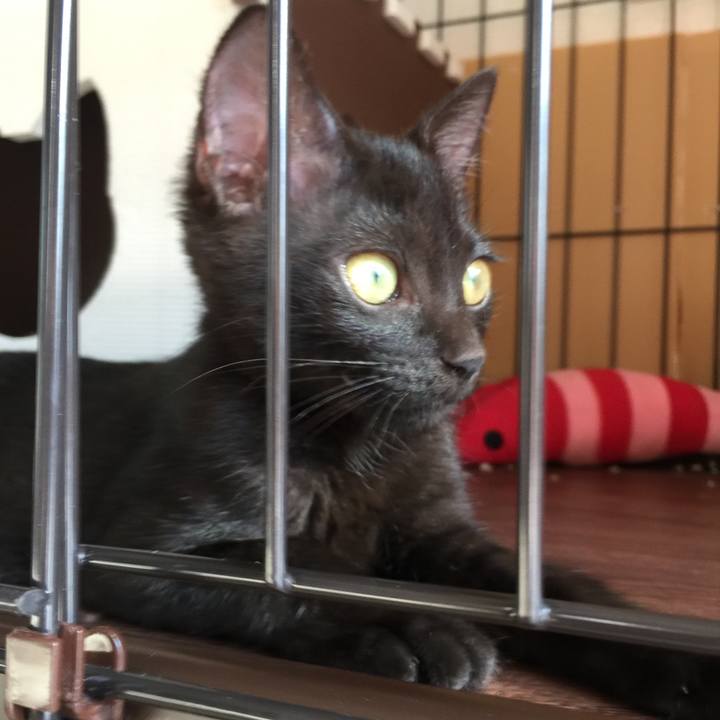 Bf7370e7 eb1c 4020 913c cc3dbe00dab9