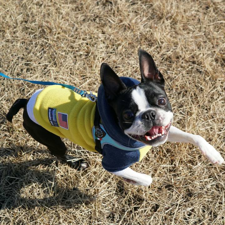 Bf737ccc 7eb4 4d28 8af9 d30e3785117f