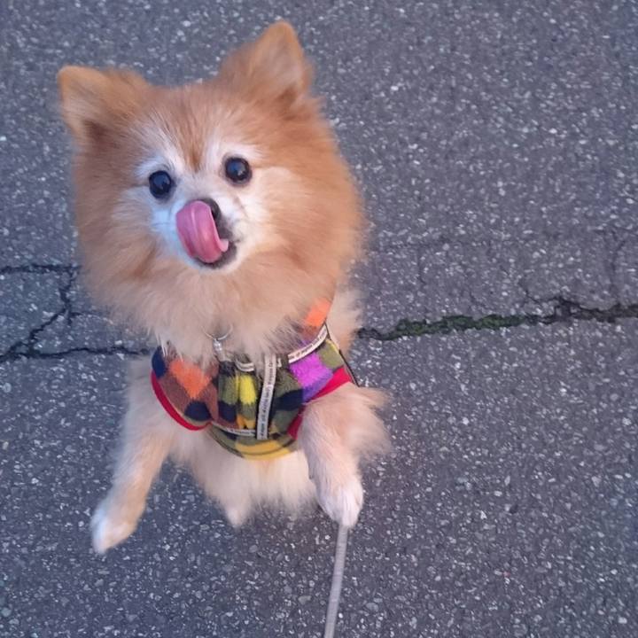 Bf74b80e c660 4b11 a7cb d72b0cd62bff