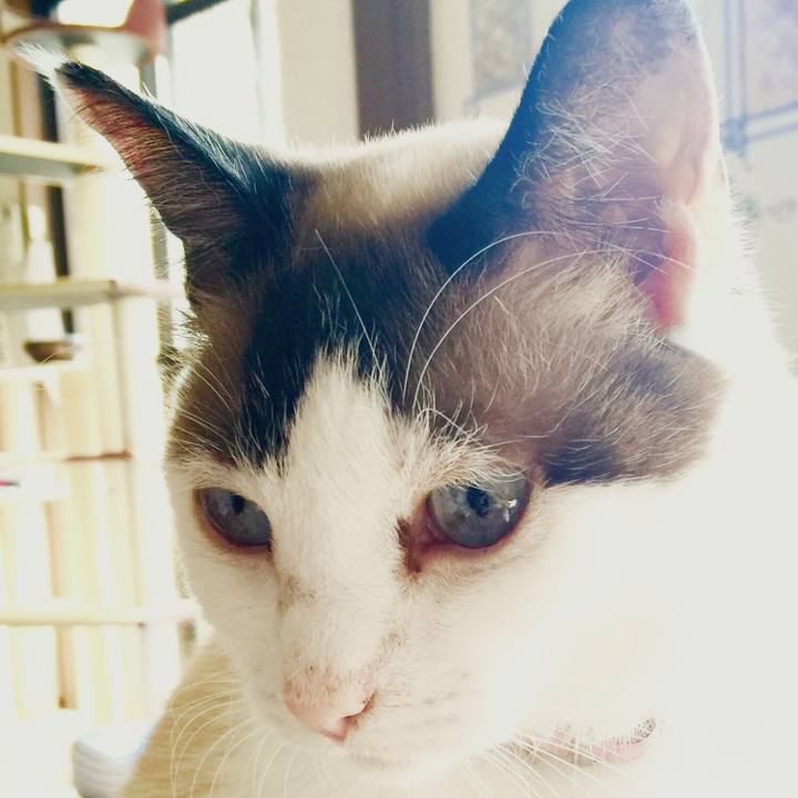 Bf74c037 623d 4ab9 92e8 958bd1205a07