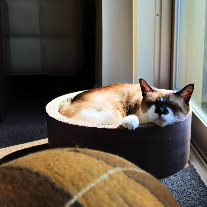 Bf7520ea 5ece 4e5d b02e 464683ac5239