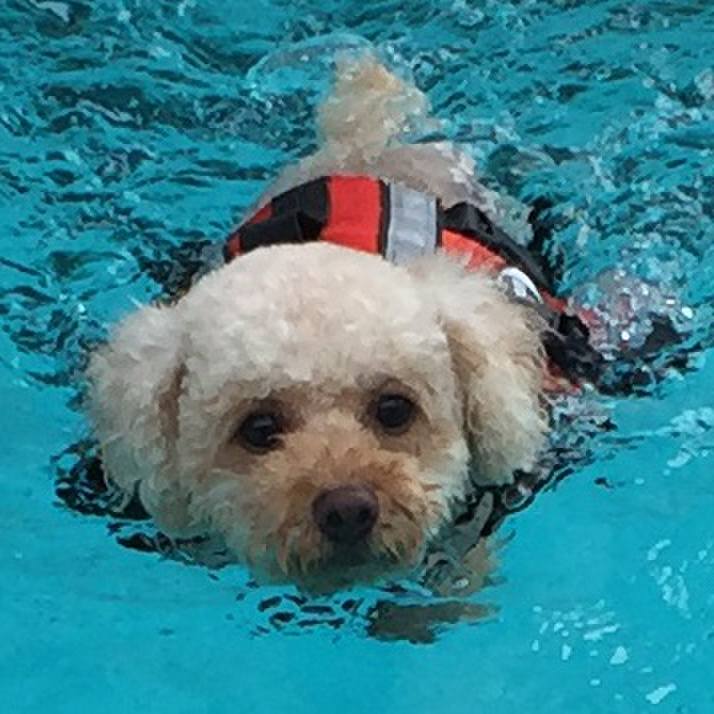 Bf767b33 2d71 4679 a8e6 7d246faadf22