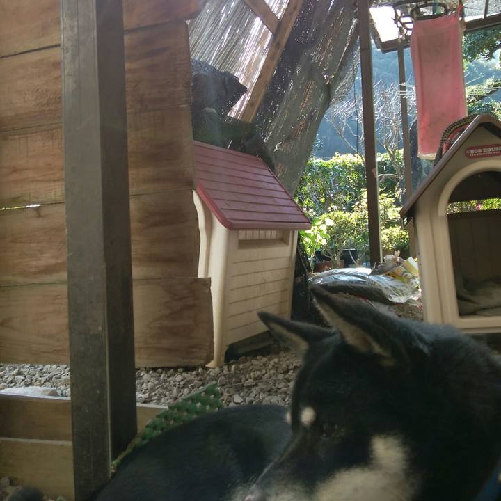 Bf770b27 98e8 4aad 8149 748302cd557a