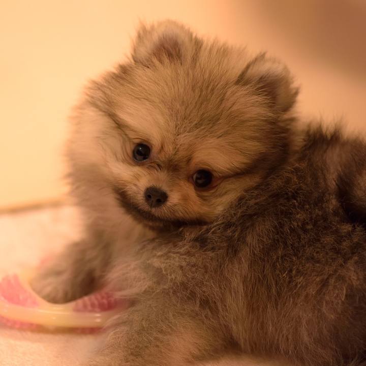 Bf772dea ceb7 4acd 877b f1dc8574bb55