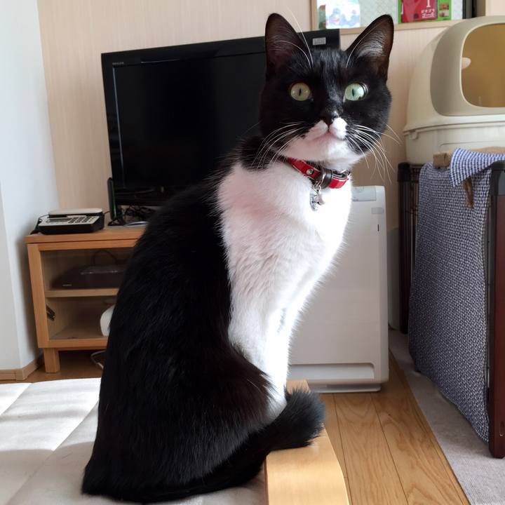 Bf7749b5 17f5 49e6 822b ead7de9f9d6b