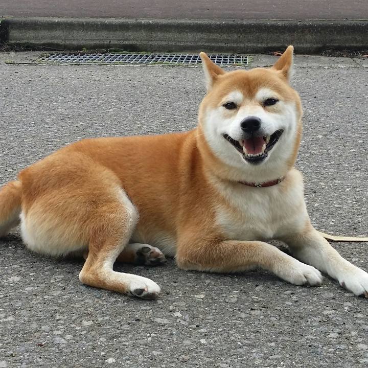 Bf778df9 95a9 4304 8c6f cfcca3791653