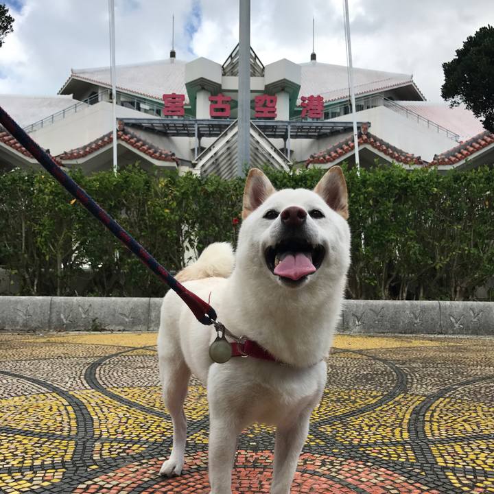 Bf7798bf 8c9e 4ffc a7c7 3b58fc443654