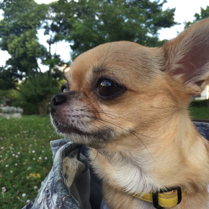 Bf781143 7eeb 476c bff0 be3d79949fab