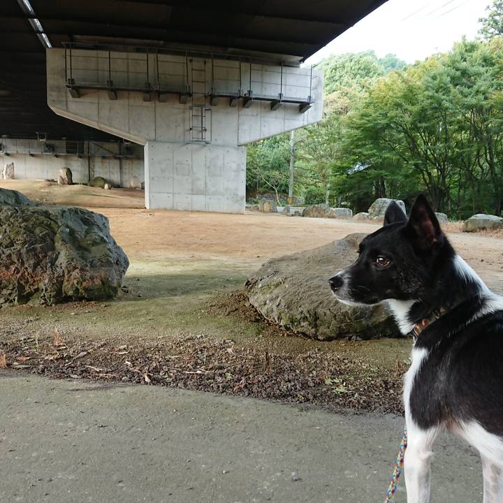 Bf78c52e b335 4883 88ec 32f0109bc0ce