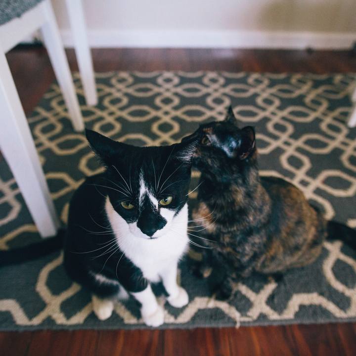 Bf7906a8 d052 45a8 b4d9 3a2fa185f87a