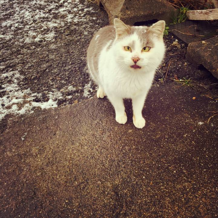 Bf791eec 7b22 4029 a540 030baaaceeaa