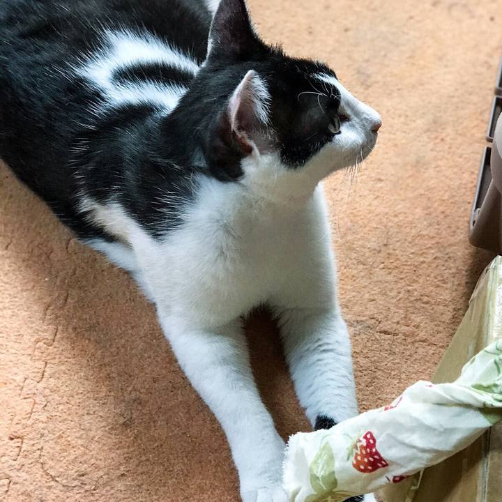 Bf794a00 371d 41dc a67a 2473c0cab1cf