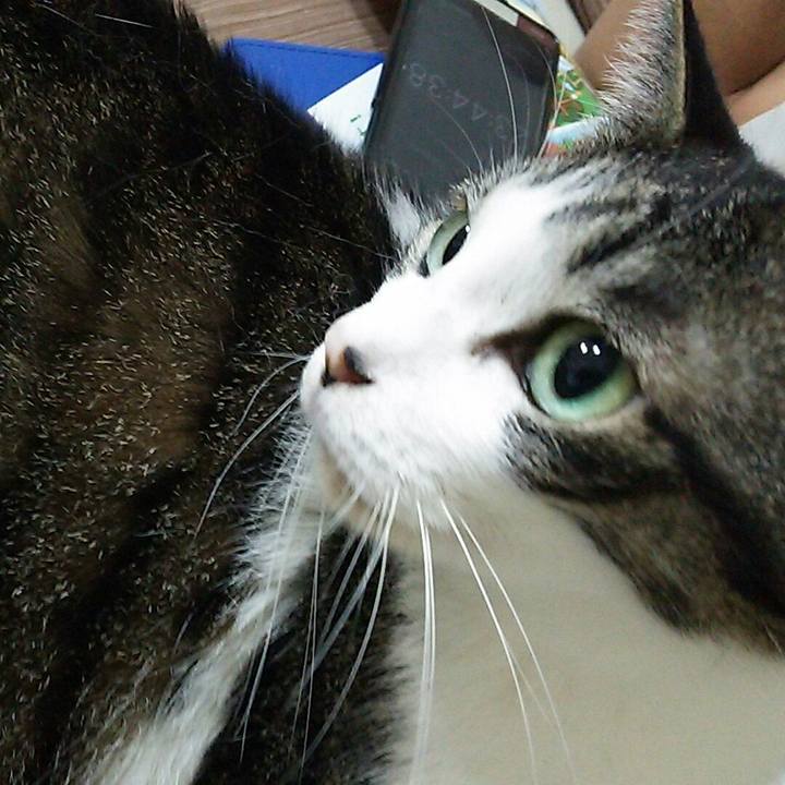 Bf7a07d0 c3ec 4153 b025 726dda98601d