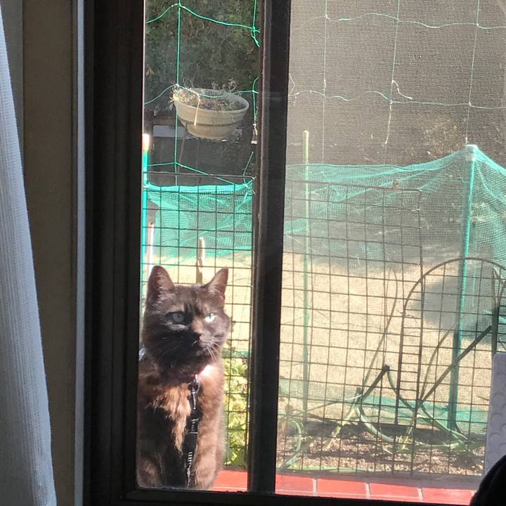 Bf7a4f3d 168b 468b b974 b8f2ccf48e60