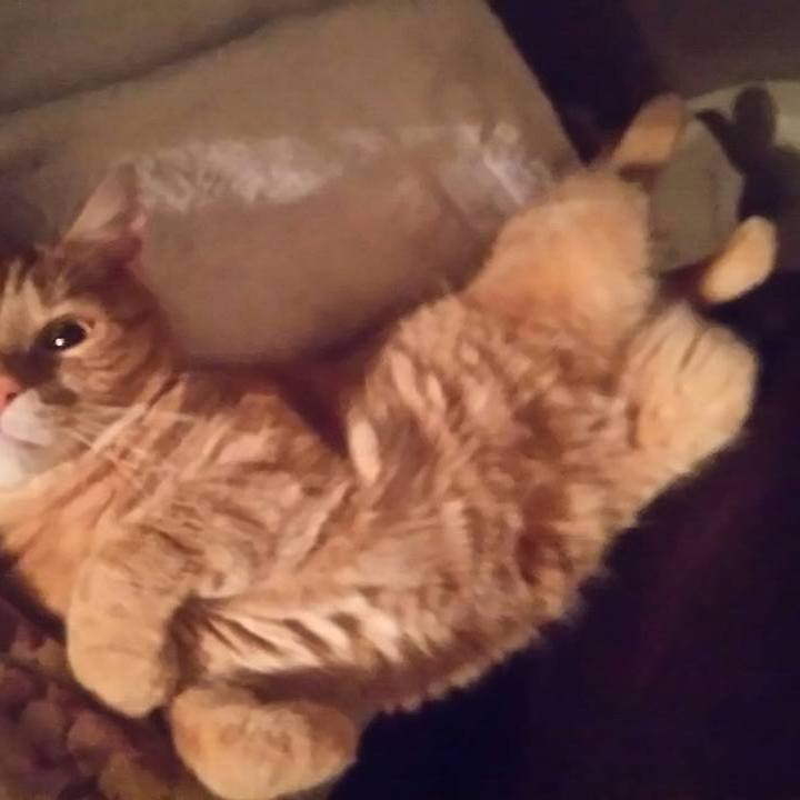 Bf7aa5c1 e518 4bcd 86ca 9abf217fe9fb