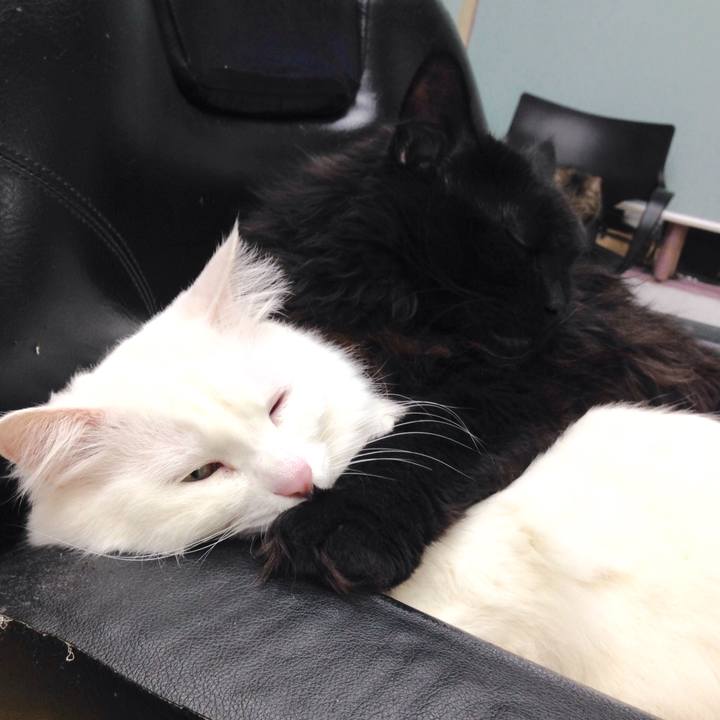 Bf7ae2dc 1251 4939 87fe c7478511ae7c