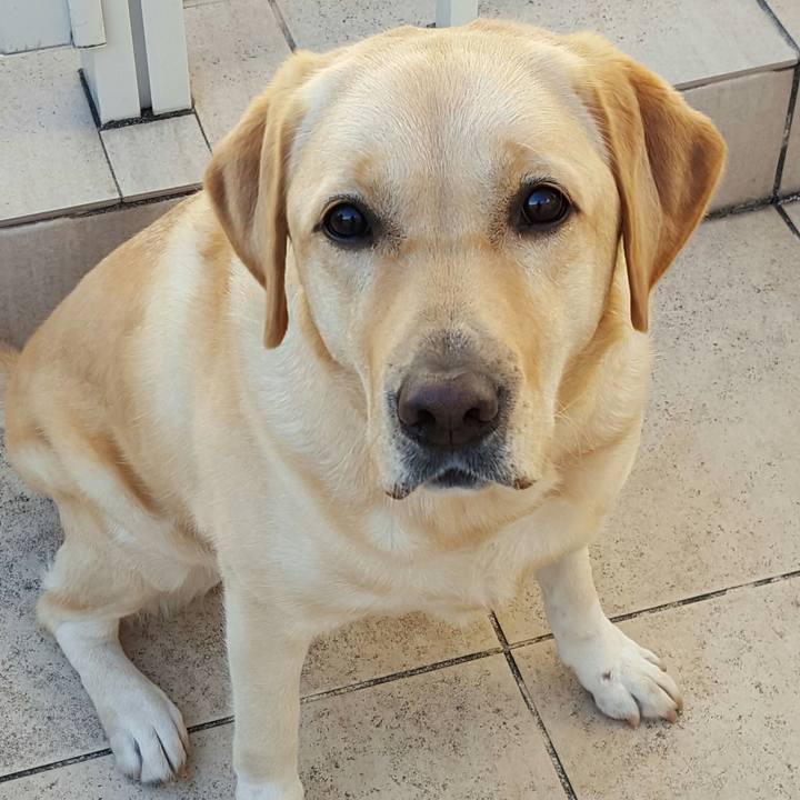 Bf7ae6e4 4791 4b5d ba9f 9749aee527b7