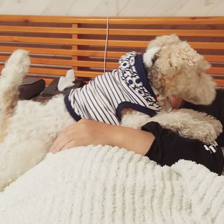 Bf7b8e94 8141 4984 b549 06a7933ee137