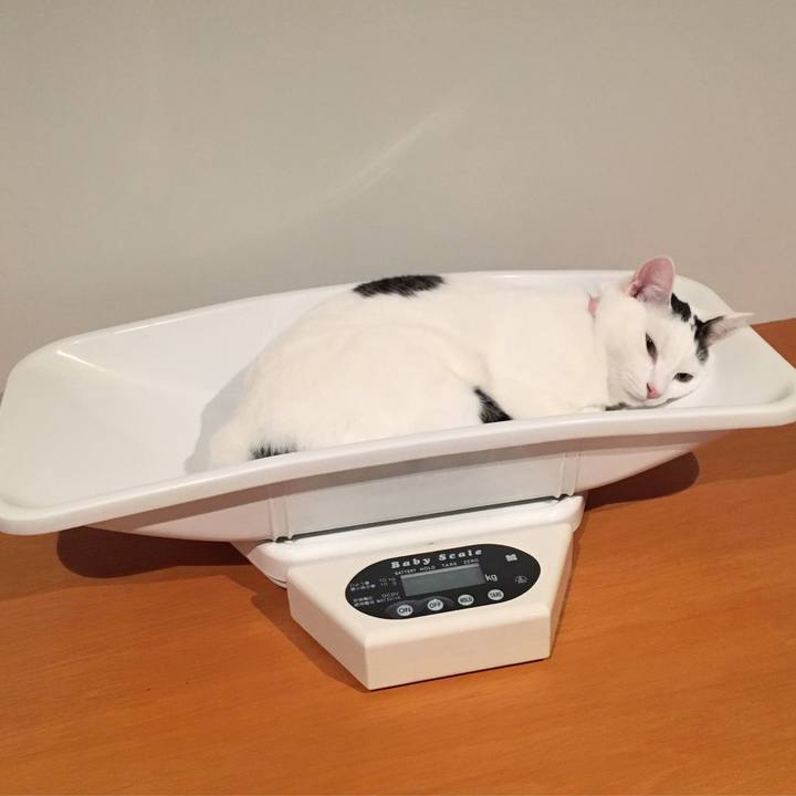 Bf7bae40 2593 4ad9 97ae db51a0160307