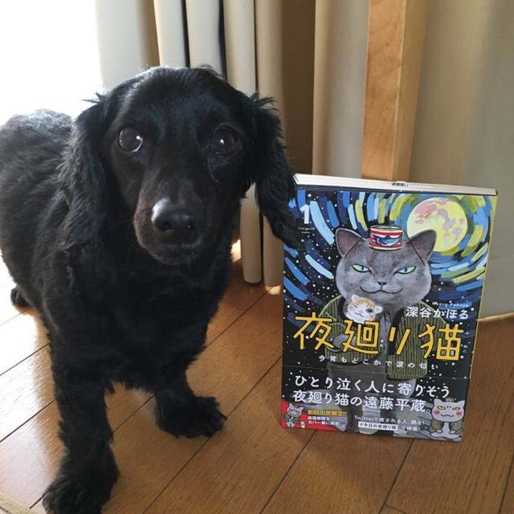 Bf7bd42d 8187 4608 9fcd 3796ce3953d2