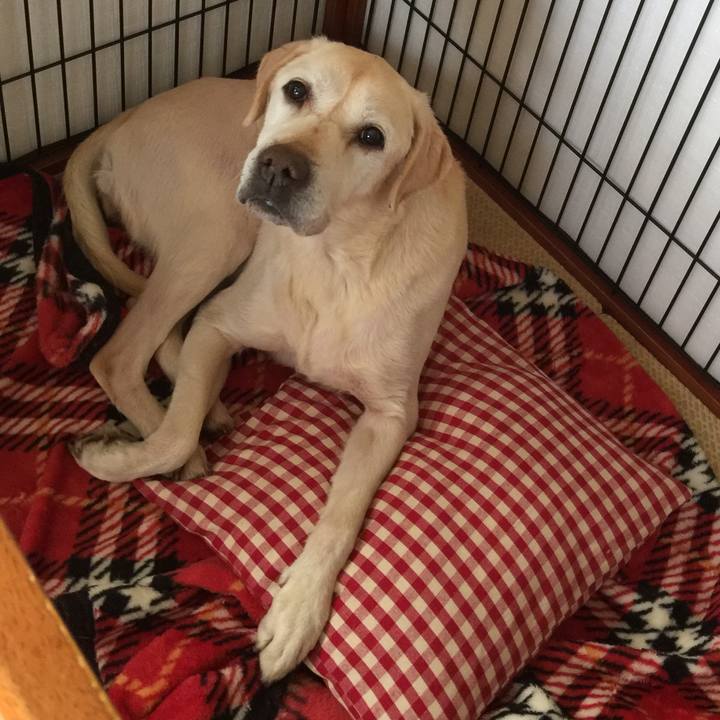 Bf7be512 d4b4 49f6 8bdb d6fbacb76f21